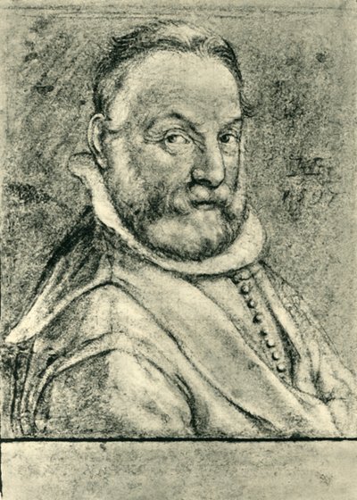 Ritratto di un uomo con la barba da Hendrik Goltzius