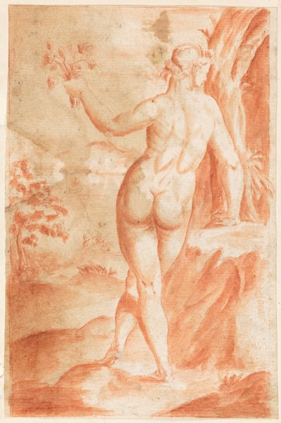 Studio di una figura nuda all