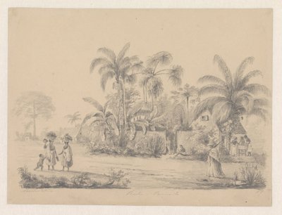 Veduta di strada appena fuori Paramaribo da Hendrik Huygens