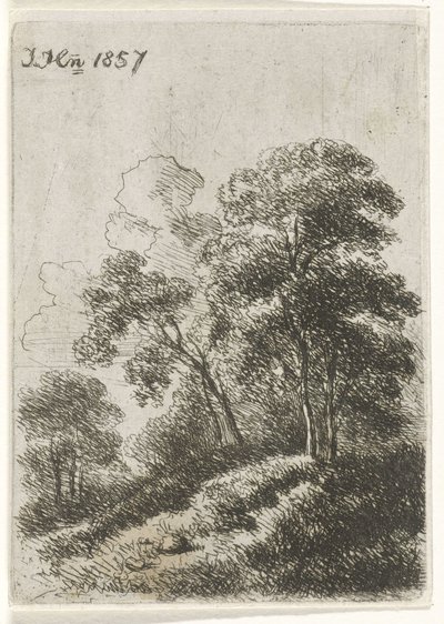Alberi su una collina da Hendrik Jan Hein
