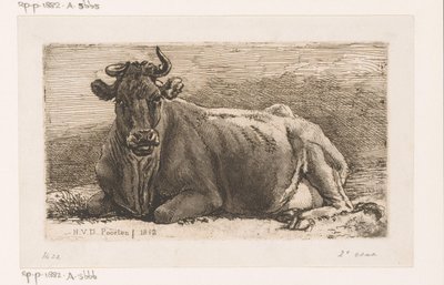 Mucca sdraiata da Hendrik Jozef Franciscus van der Poorten