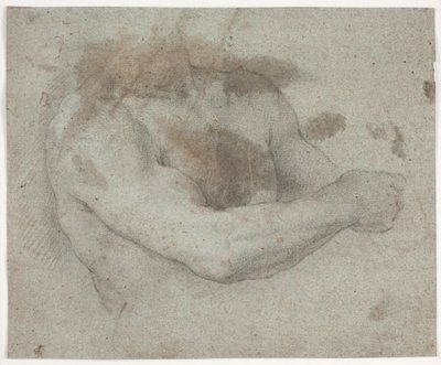 Torso di modello maschile da Hendrik Krock
