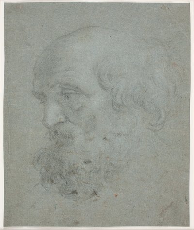 Testa di Uomo Barbuto (Apostolo Pietro) da Hendrik Krock