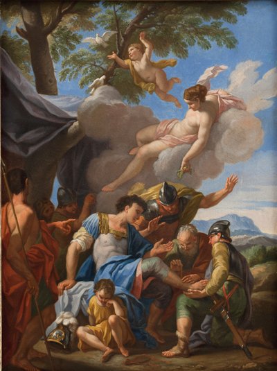 Venere porta rimedi per l