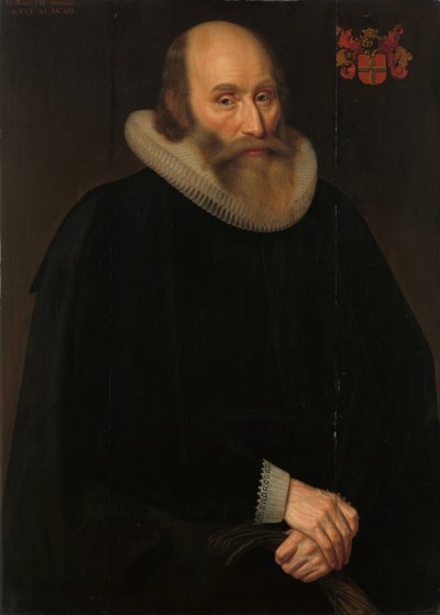 Ritratto di Antonius Antonides van der Linden, Medico ad Amsterdam da Hendrik Meerman