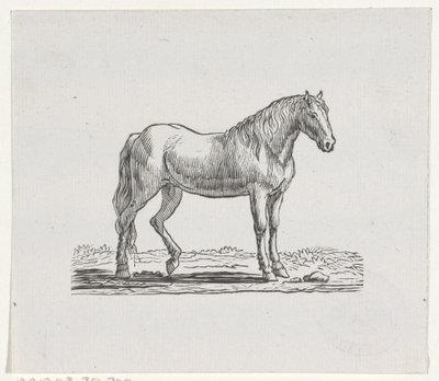 Cavallo da Hendrik Numan