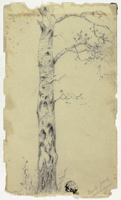 Regent Park vicino al canale da Hendrik Pieter Koekkoek
