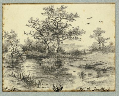 Alberi vicino allo stagno da Hendrik Pieter Koekkoek