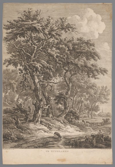 Paesaggio vicino a Zuidlaren da Hendrik Schwegman