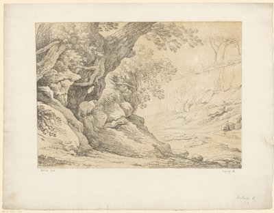 Rocce coperte di vegetazione da Hendrik Voogd