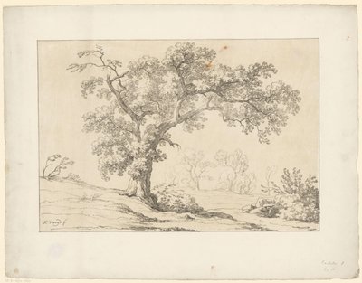 Albero nel paesaggio da Hendrik Voogd