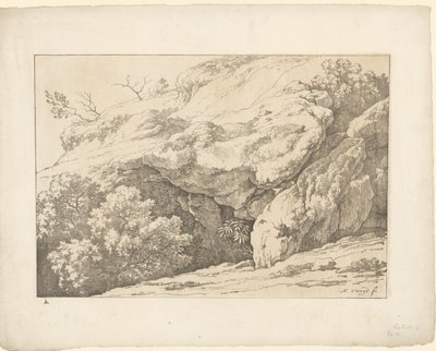 Rocce con cespugli da Hendrik Voogd