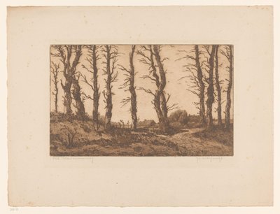 Oud Blaricummerweg da Hendrik Weegewijs (signed by artist)