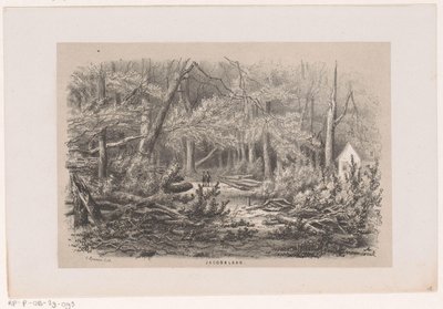 Alberi abbattuti alla Jacobalaan dopo la tempesta del 28 maggio 1860 da Hendrik Wilhelmus Last