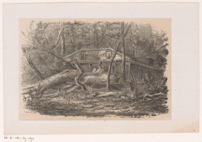 Albero caduto a Buitenlust, dopo la tempesta del 28 maggio 1860 da Hendrik Wilhelmus Last