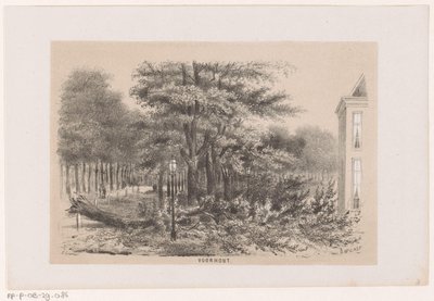 Albero abbattuto a Voorhout, dopo la tempesta del 28 maggio 1860 da Hendrik Wilhelmus Last