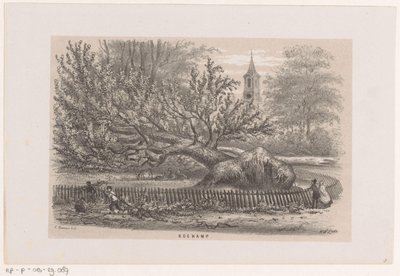 Albero caduto presso la Koekamp, dopo la tempesta del 28 maggio 1860 (Album di dieci schizzi litografati, rappresentanti scene della distruzione causata dalla tempesta del 28 maggio 1860 nella foresta di 
