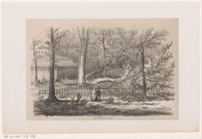 Albero caduto presso la società, dopo la tempesta del 28 maggio 1860 (Album di dieci schizzi litografati, rappresentanti scene della distruzione causata dalla tempesta del 28 maggio 1860 nella foresta di 