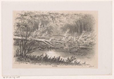 Albero abbattuto, dopo la tempesta del 28 maggio 1860 (Vijver, Album di dieci schizzi litografati, rappresentanti Scene della Distruzione causata dalla tempesta del 28 maggio 1860 nella foresta dell