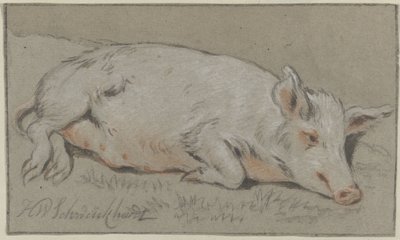 Maiale sdraiato da Hendrik Willem Schweickhardt (signed by artist)