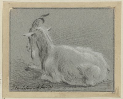 Capra sdraiata da Hendrik Willem Schweickhardt (signed by artist)