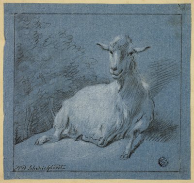 Capra da Hendrik Willem Schweickhardt
