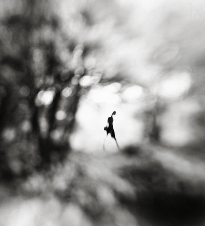 Figura solitaria ed eterea da Hengki Lee