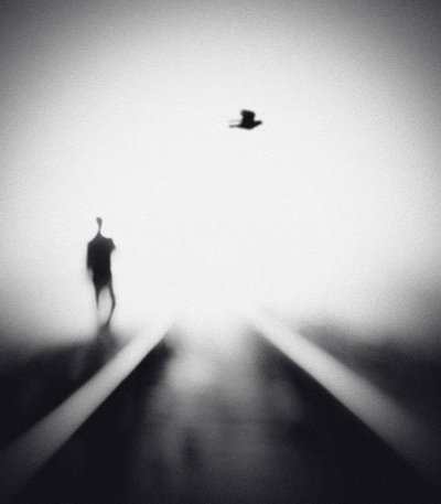Uomo solitario, uccello in volo da Hengki Lee