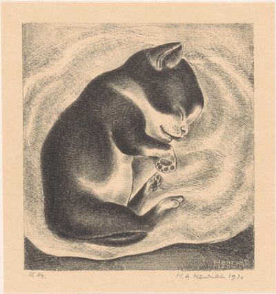 Giovane gatto che dorme da Henk Henriët (signed by artist)