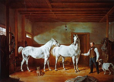 Stalla della famiglia Stuyvesant, c.1854 (litografia a colori) da Henri (after) Delattre