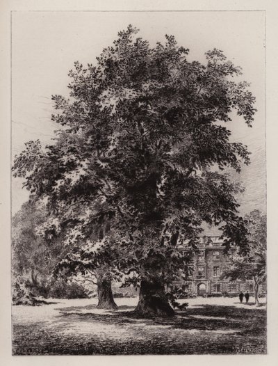 Cambridge: Il giardino del Christ