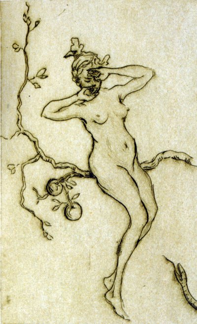 Donna nuda che si sveglia da Henri Boutet