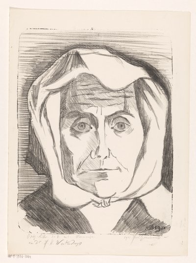 Ritratto di una donna sconosciuta da Henri Braakensiek (signed by artist)