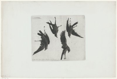 Quattro corvi morti appesi a un muro da Henri Charles Guérard (signed by artist)