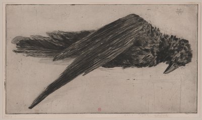 Il grande corvo pensile (Le Grand Corbeau Pendu), da Henri Charles Guérard