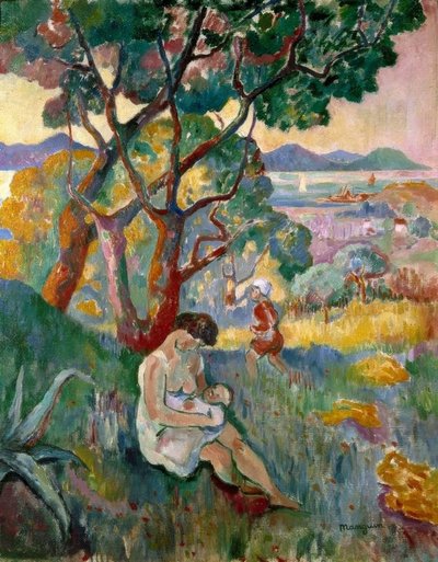 Saint-Tropez, vista dalla villa Demièri da Henri Charles Manguin