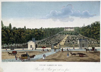 Vista del Jardin du Roi (Giardino delle Piante) presa dal ponte opposto - in Views of Paris di Courvoisier da Henri Courvoisier Voisin