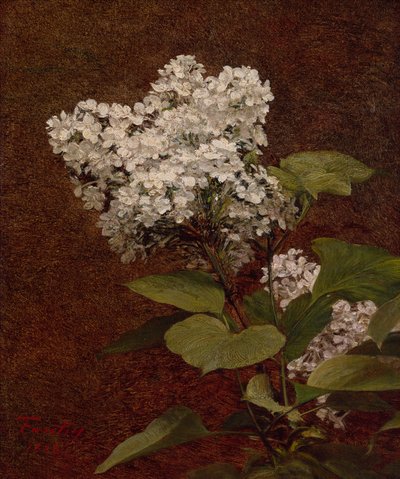 Lillà bianchi da Ignace Henri Jean Fantin Latour