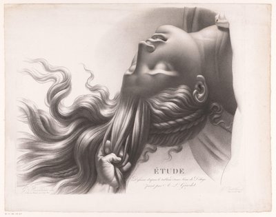 Testa di una giovane donna tirata per i capelli da Henri Guillaume Chatillon