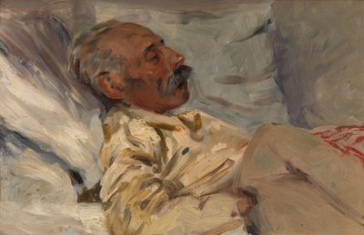Il mio nonno malato da Henri Jacques Edouard Evenepoel