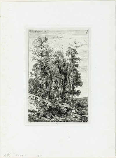 Betulle e querce da Henri Joseph Harpignies
