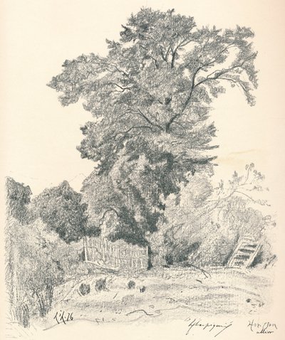 Studio di alberi, c1839-1898, 1898 da Henri Joseph Harpignies