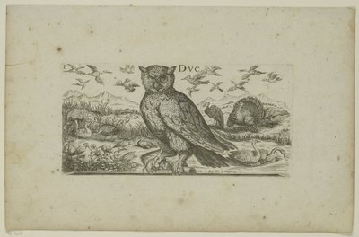 Gufo e altri uccelli (Uccelli) da Henri Le Roy