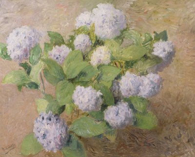 Ortensie blu da Henri Lerolle