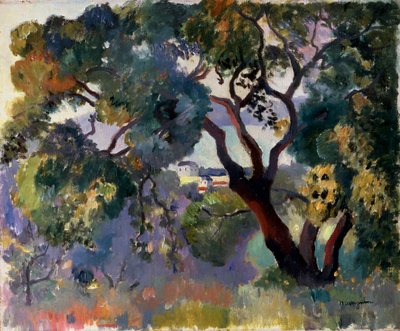 Paesaggio a Saint-Tropez da Henri Manguin