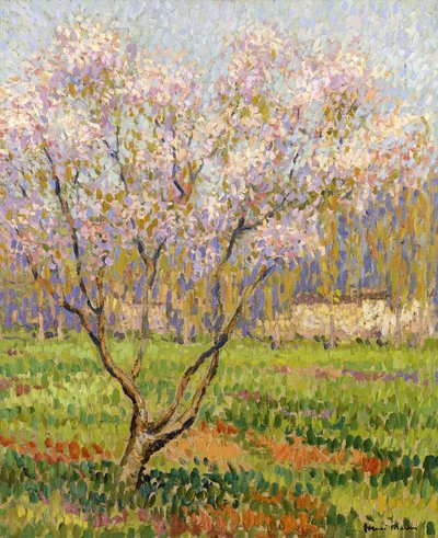 Melo in Fiore da Henri Martin