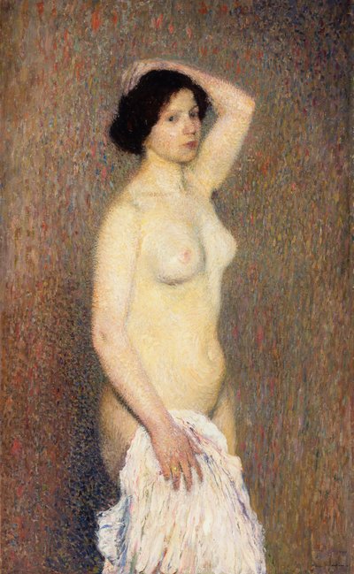 Donna nuda in piedi da Henri Martin