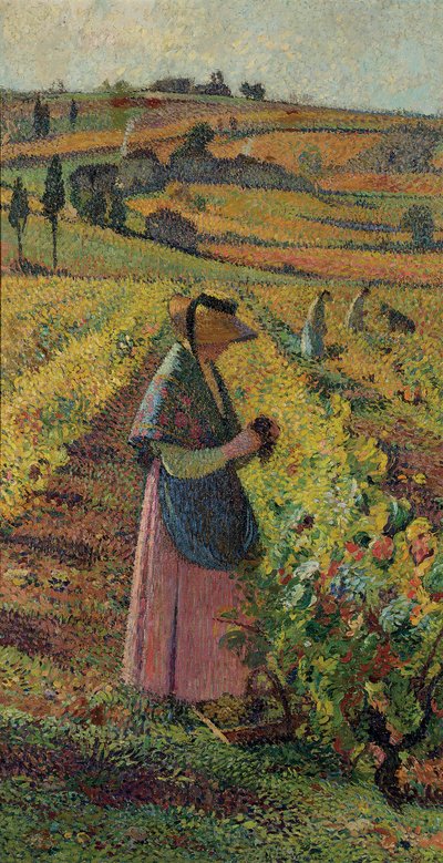 La vendemmia, c.1925 da Henri Martin