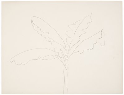 Banana tree (Tahiti) da Henri Matisse