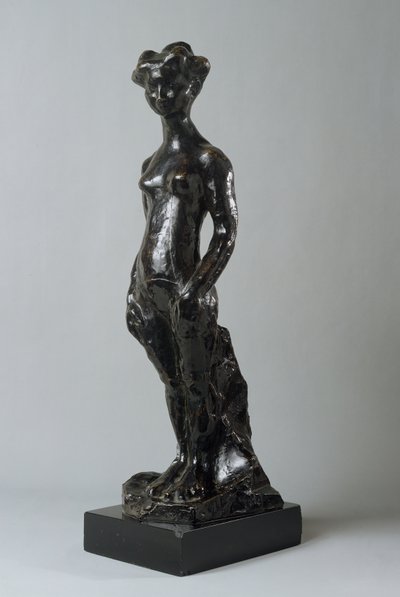 Ragazza in piedi, con le braccia al fianco da Henri Matisse